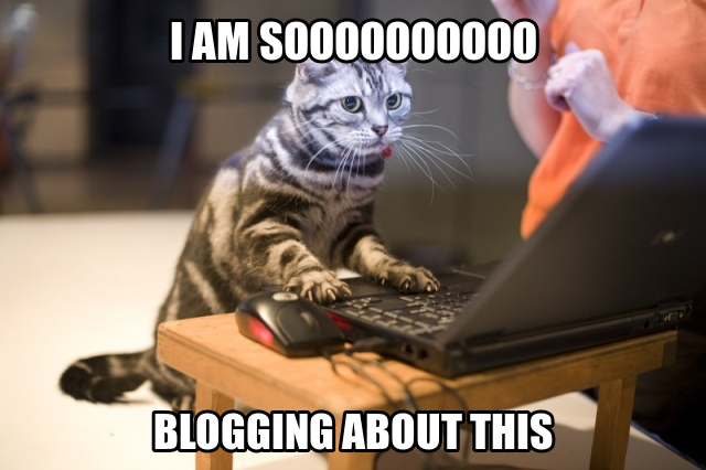 Some cat pictrue
